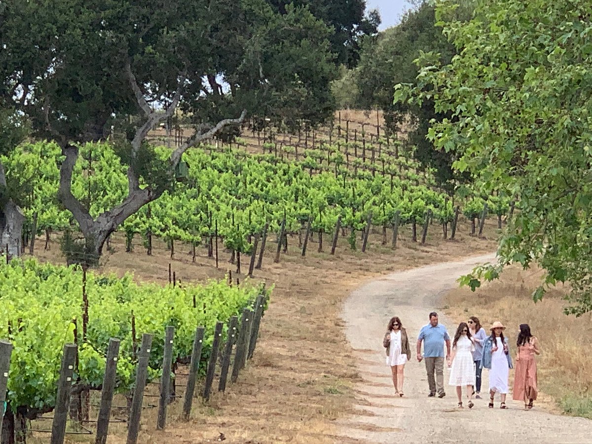 private wine tours santa ynez