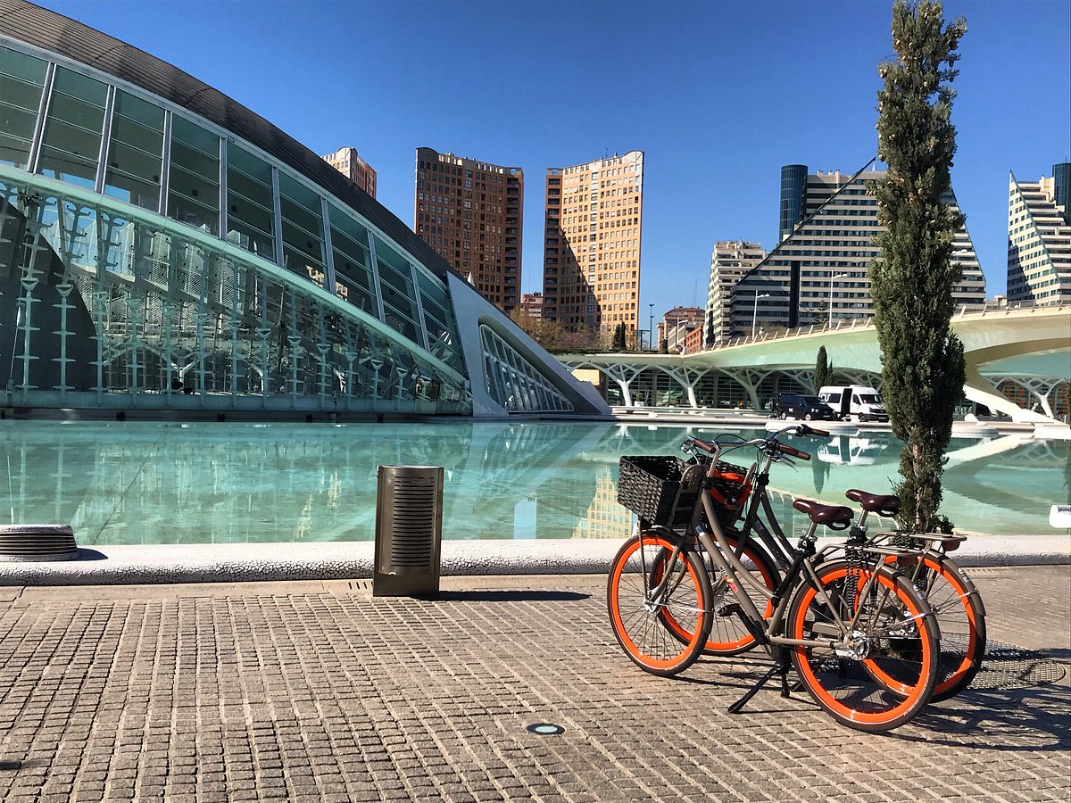 Pelican Bike Rentals, Валенсия: лучшие советы перед посещением - Tripadvisor