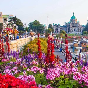 THE 15 BEST Things to Do in Victoria - 2021 (with Photos) - Tripadvisor