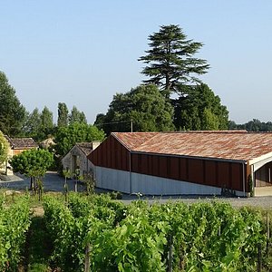 A côté des grands crus de Saint-Emilion, ce château traverse la