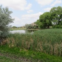 Bonanza Creek Ranch (santa Fe) - All You Need To Know Before You Go