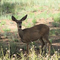 Jemez National Recreation Area (Jemez Springs) - All You Need to Know ...