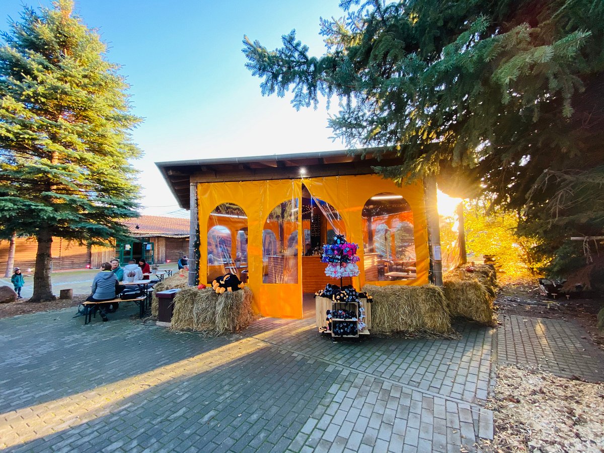 Menù settimanale - Picture of Trattoria Il Viale, Werder upon Havel -  Tripadvisor