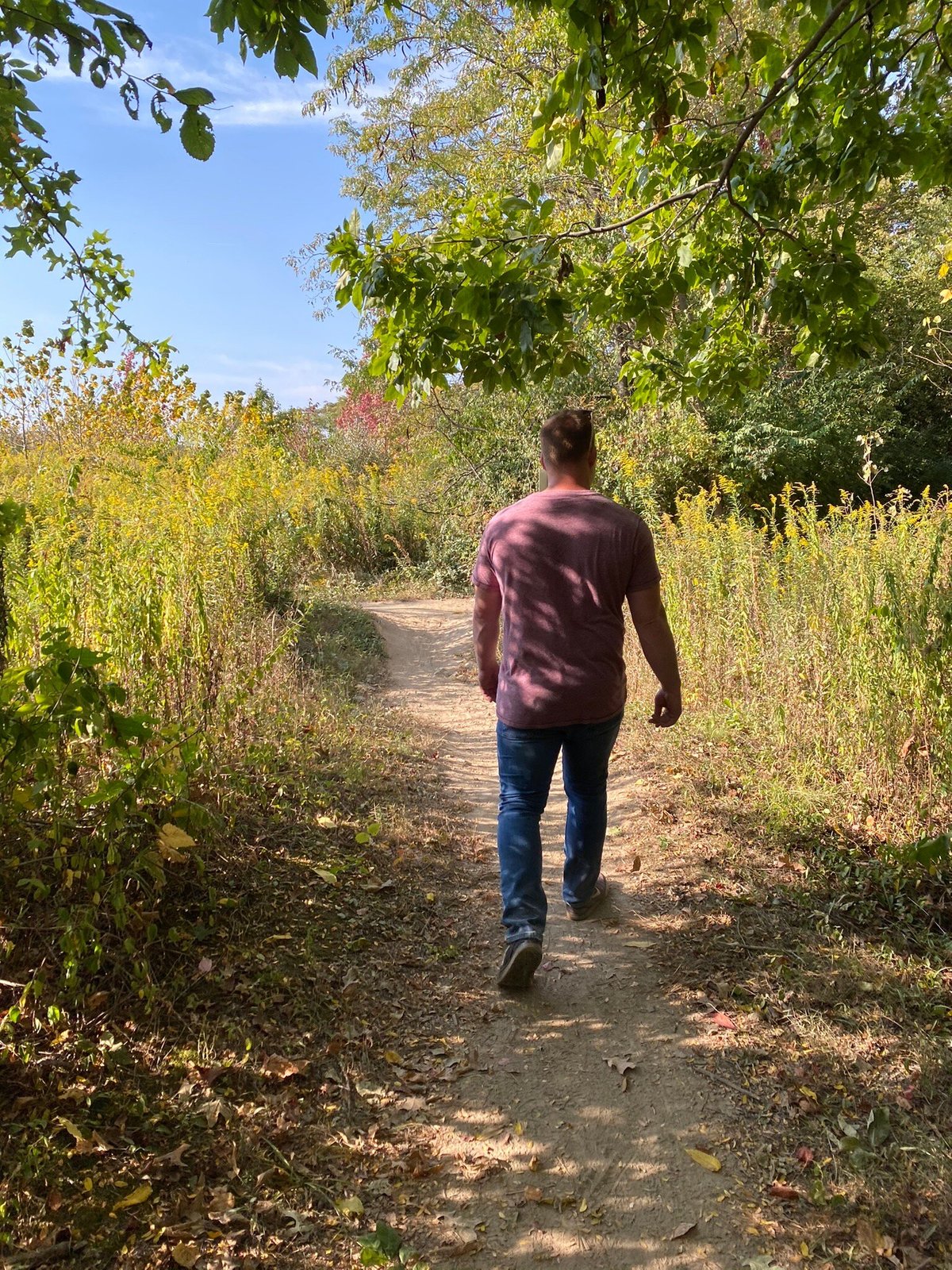 are dogs allowed at flat fork creek park