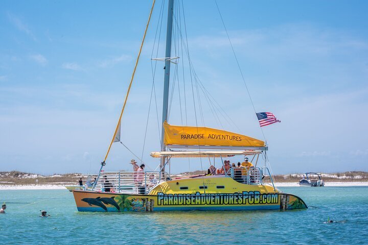 catamaran dolphin tour panama city beach