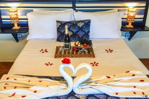 Room & Suite