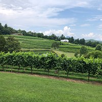 Crane Creek Vineyards (Young Harris) - All You Need to Know BEFORE You Go