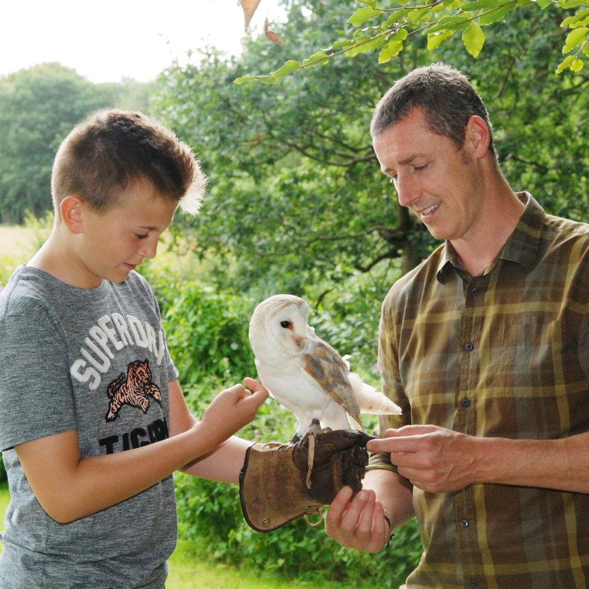 Cumberland Bird of Prey Centre - Long Byres Holiday Cottages