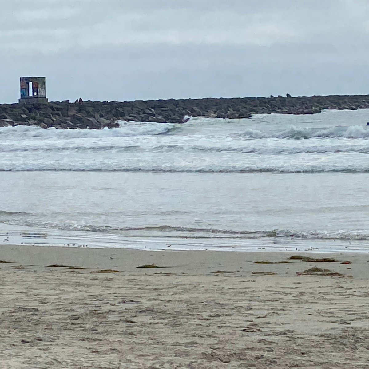 Top 28+ Images mission beach park san diego, ca Excellent