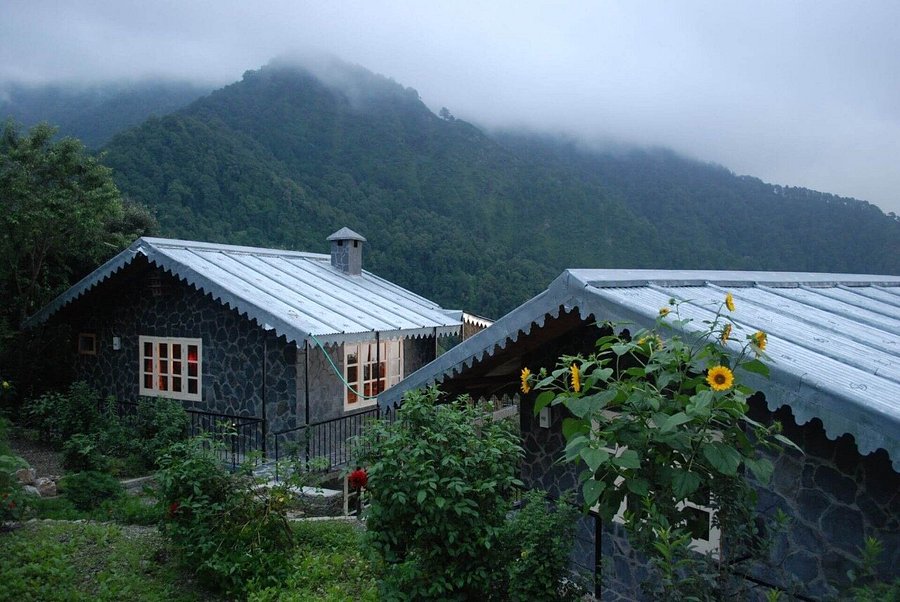 THE NEST COTTAGES (Pangot, Uttarakhand) - Hotel Reviews, Photos, Rate Comparison - Tripadvisor