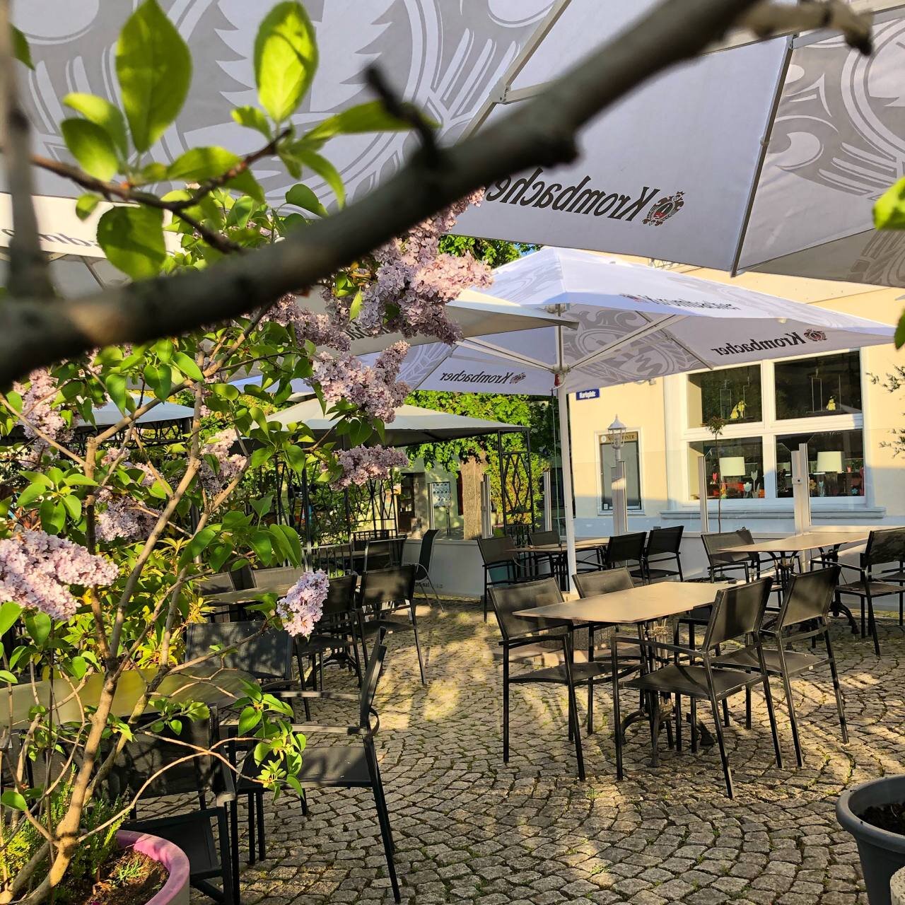 THE 10 BEST Restaurants In Bernburg (Updated January 2024)