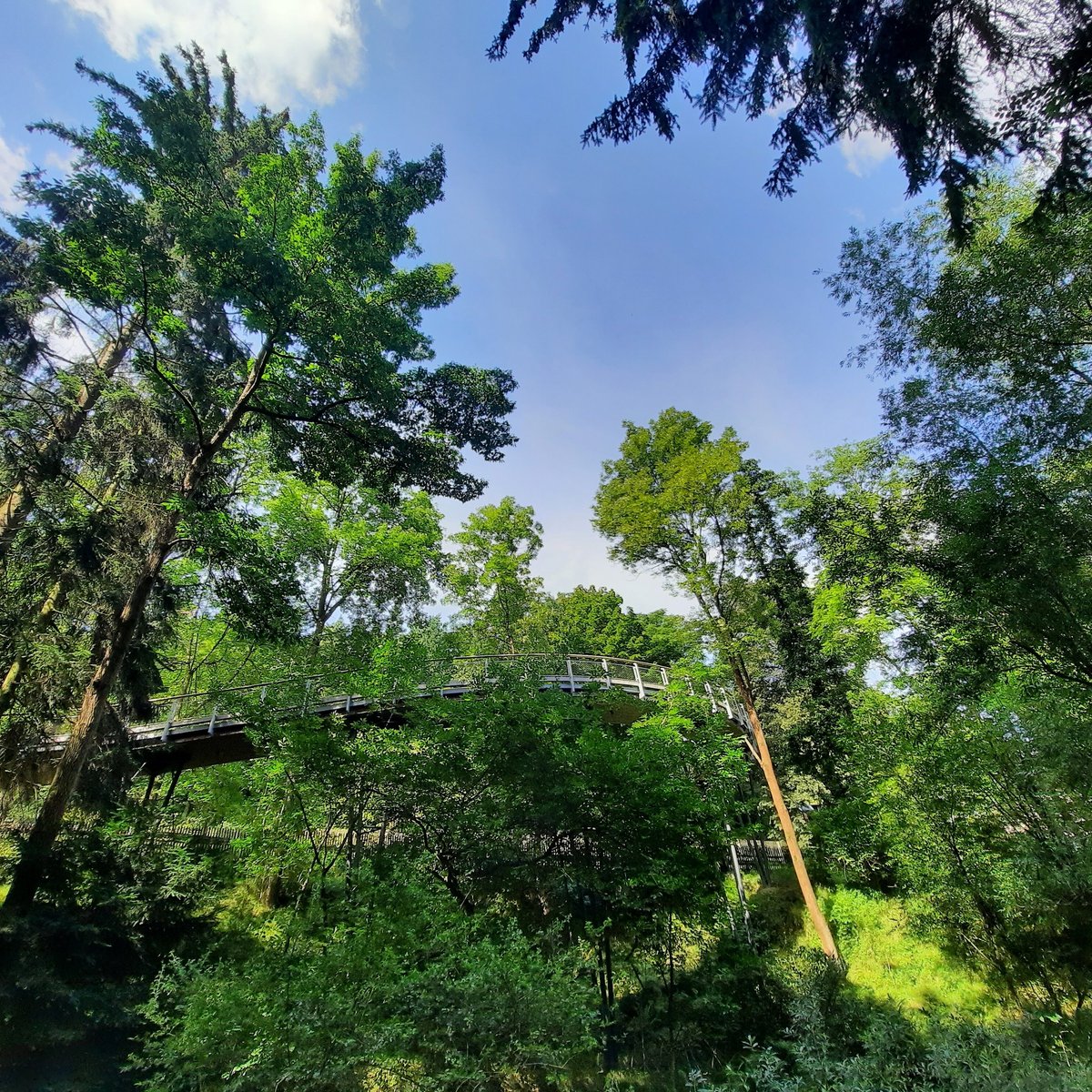 FORSTBOTANISCHER GARTEN THRANDT (Tharandt) Ce qu'il faut savoir