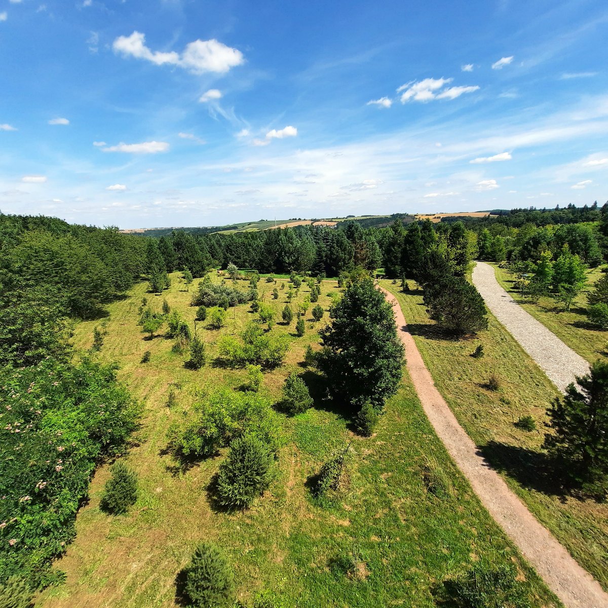 37+ Forstbotanischer Garten Göttingen, Die anlage ist mit über 2000