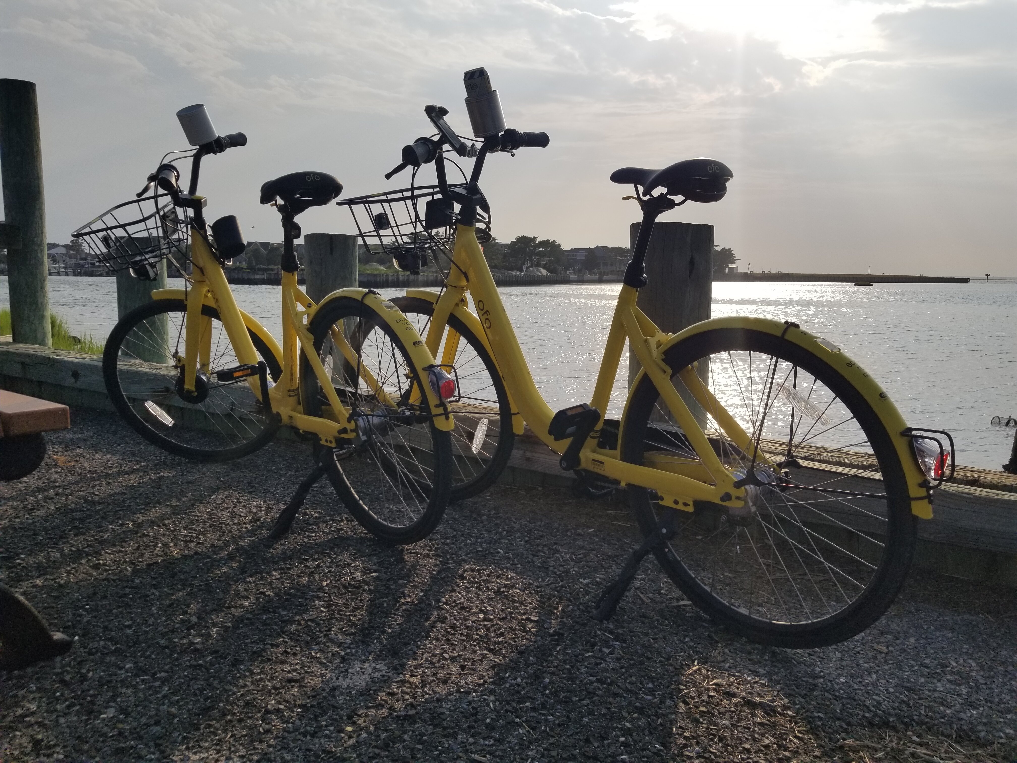 Surf city bike store shop