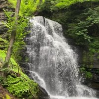 Bushkill Falls - All You Need to Know BEFORE You Go (with Photos)