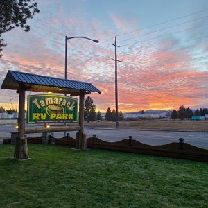 Park sign visible from Government Way

