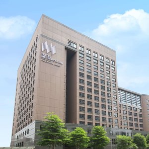 外觀