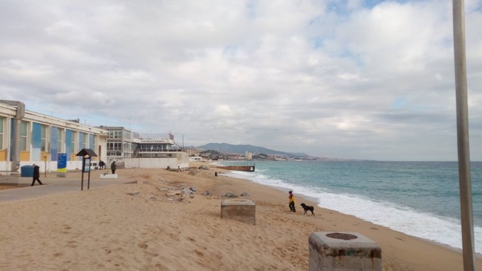 Imagen 5 de Pont del Petroli