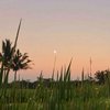 VibeofNature