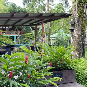 View of the breakfast veranda and garden 