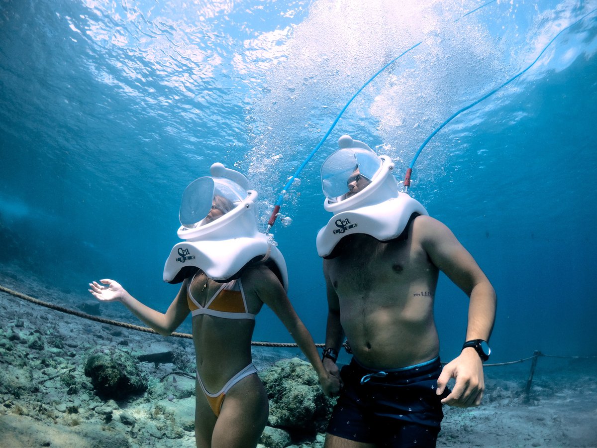 Sea Trek Cozumel - All You Need to Know BEFORE You Go