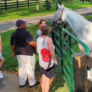 kentucky horse park farm tours
