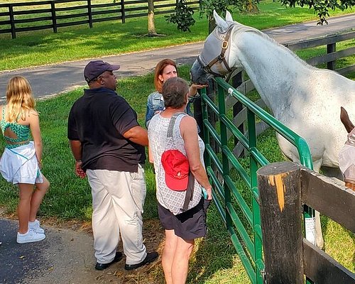 bourbon tours in bardstown