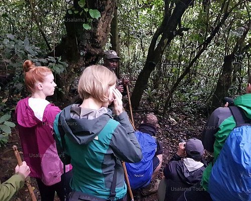 rwanda tour packages from india