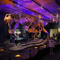 2023 Houston Museum of Natural Science General Admission