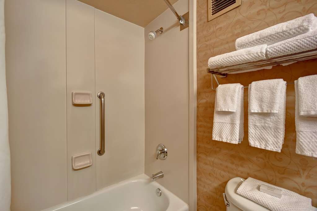 Hotel photo 17 of Embassy Suites by Hilton Hot Springs Hotel & Spa.