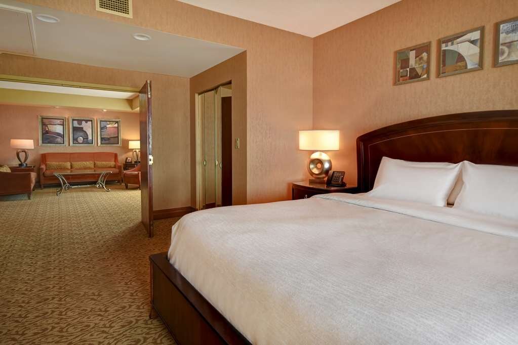 Hotel photo 41 of Embassy Suites by Hilton Hot Springs Hotel & Spa.