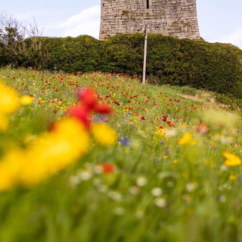 Hotel photo 31 of Ballinalacken Castle Country House.