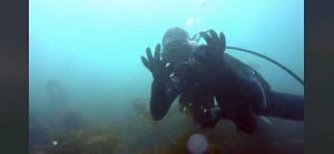 Trident Pole Spear No Tip – San Diego Divers