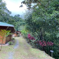 Los Campesinos Reserve (Quepos) - All You Need to Know BEFORE You Go