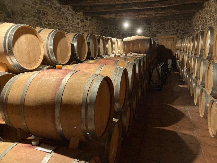 Imagen 9 de Bodegas Pittacum