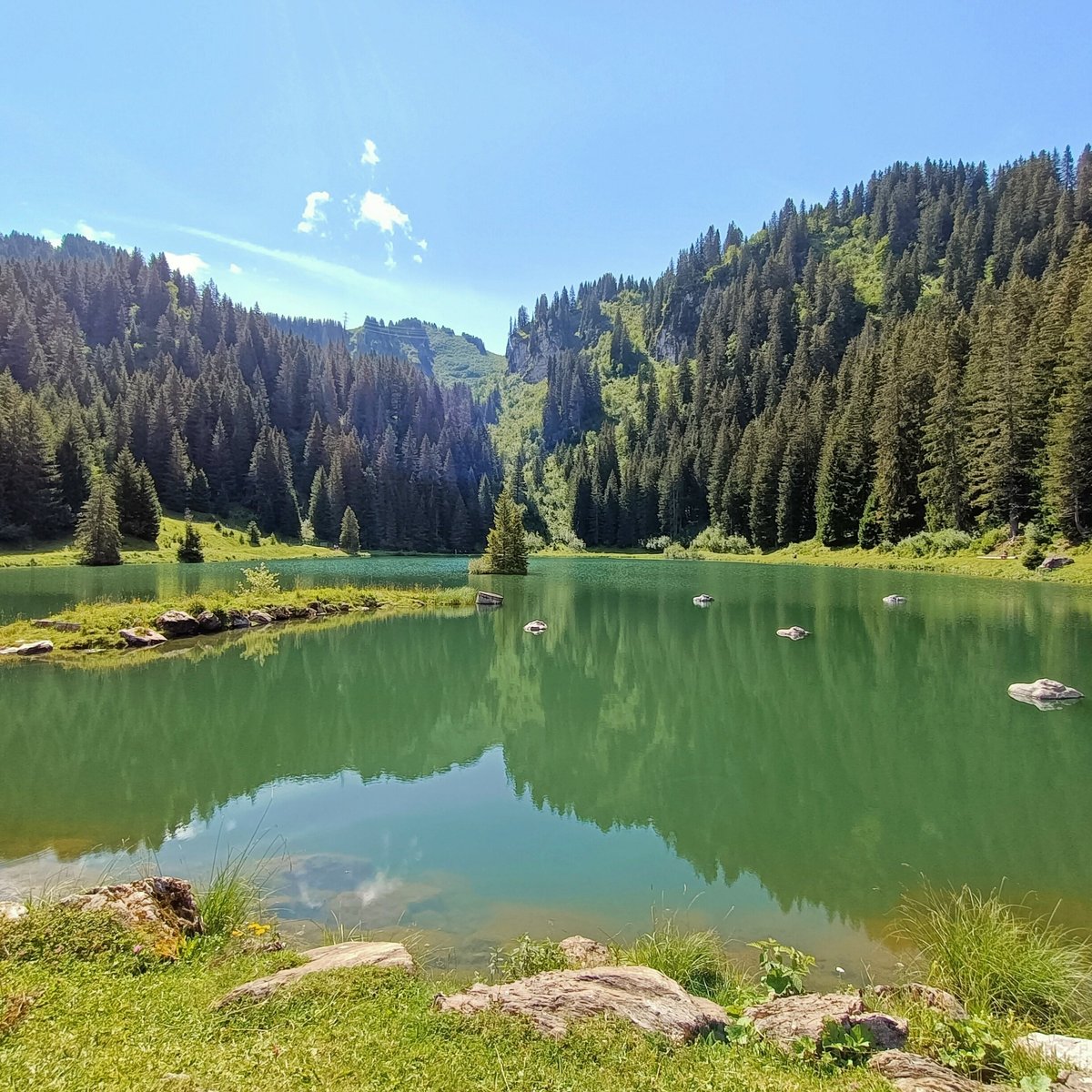 Lac 6. Зеленое озеро. Зелёное озеро Луга. Зеленое озеро Грузия. Зеленое озеро в Луге.