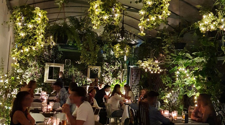 Garden (ambiente climatizado)