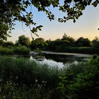 PENNINGTON FLASH COUNTRY PARK (Leigh) - All You Need to Know BEFORE You Go