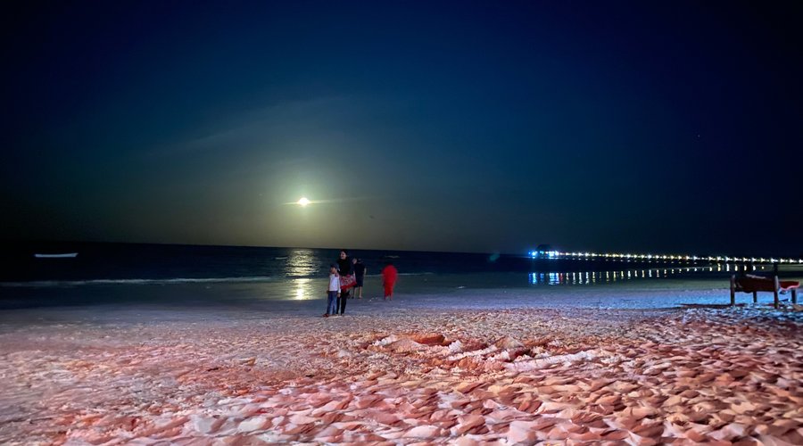 Moonlight 