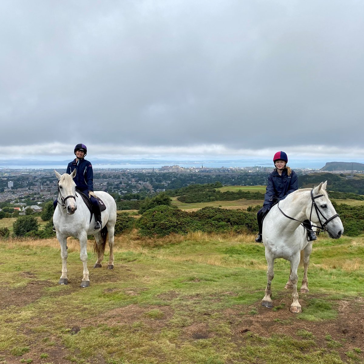 Tower Farm Riding Stables, Эдинбург: лучшие советы перед посещением -  Tripadvisor