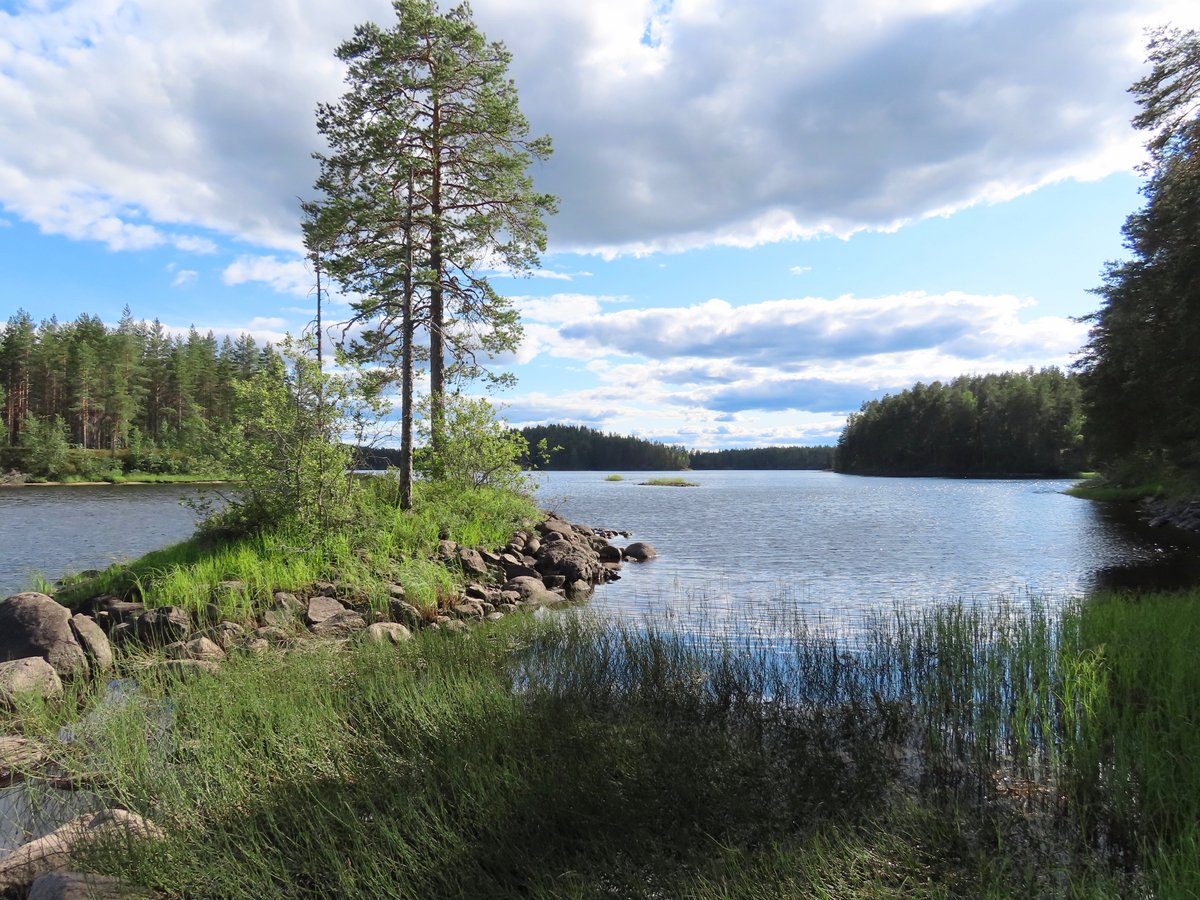 PETKELJARVI CENTER - Prices & Lodge Reviews (Ilomantsi, Finland)