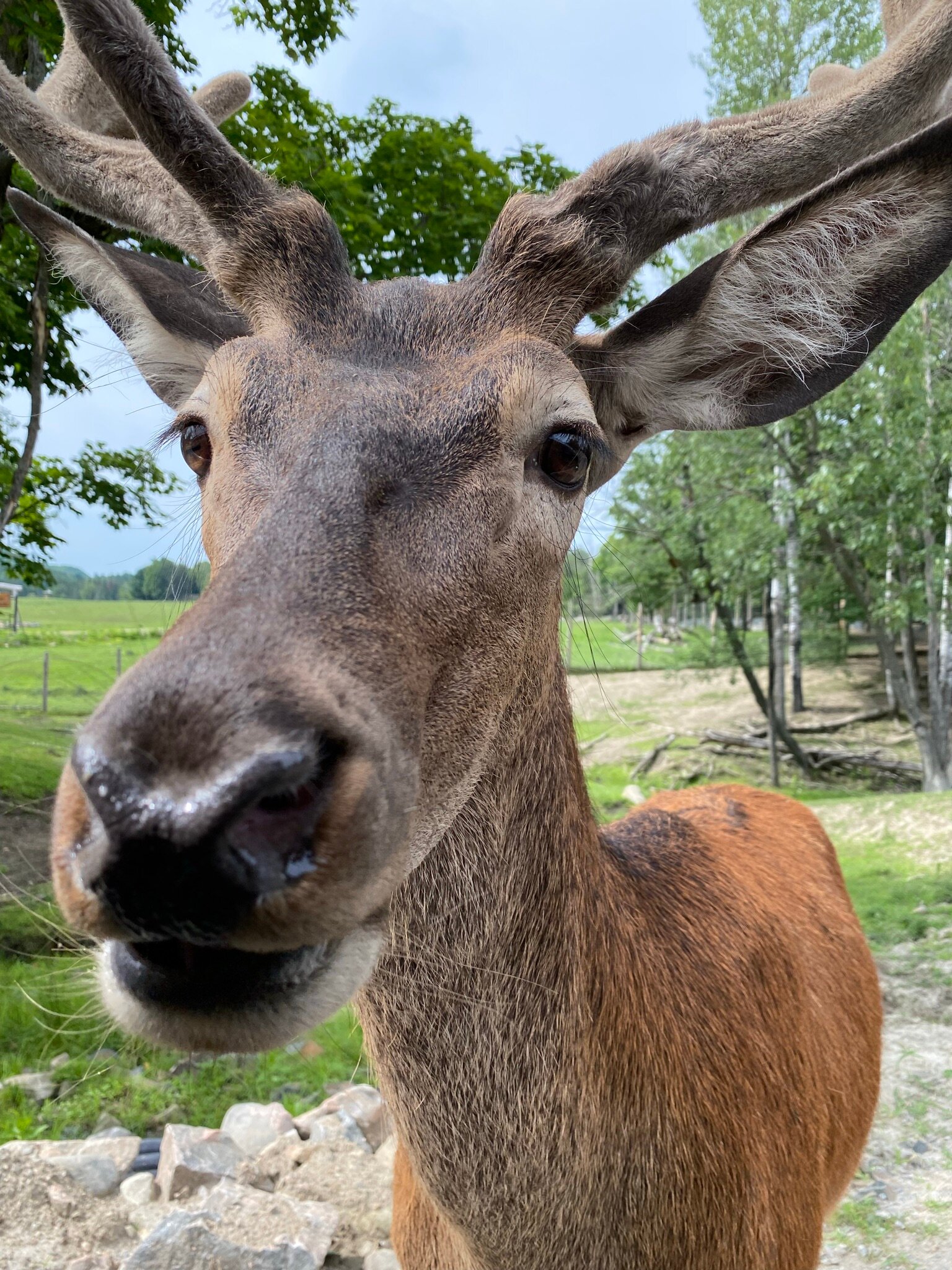 PARC OMEGA 166 4 3 4 Updated 2024 Prices Campground