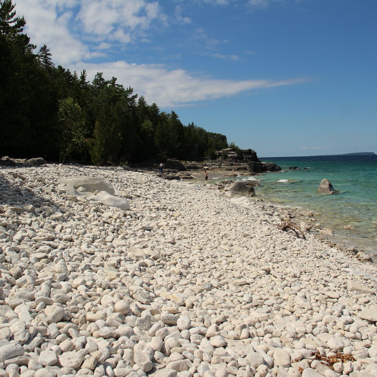 Halfway Log Dump (Tobermory) - 2021 All You Need to Know Before You Go ...