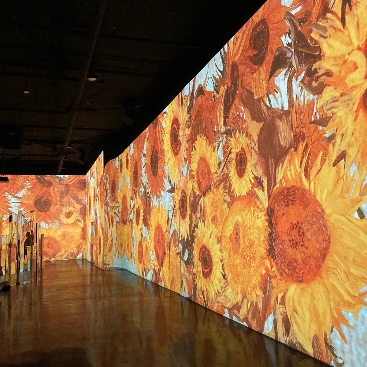 Immersive Van Gogh Exhibit Los Angeles 로스앤젤레스 Immersive Van Gogh