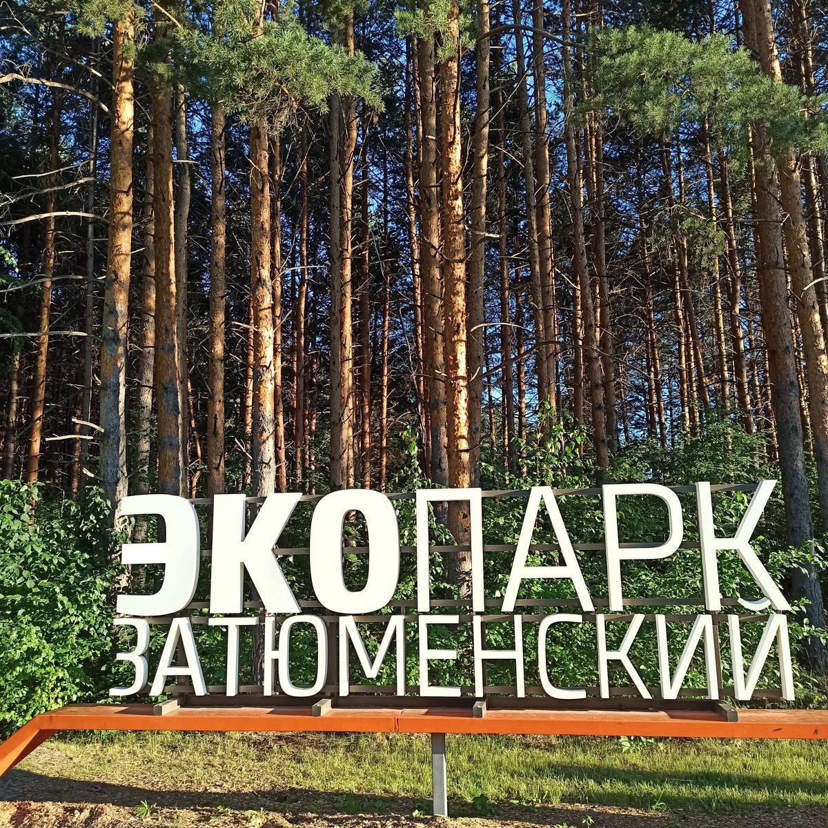 Эко парк затюменский тюмень