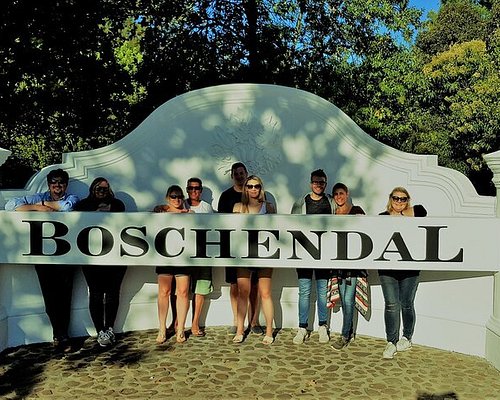 stellenbosch and franschhoek wine tours
