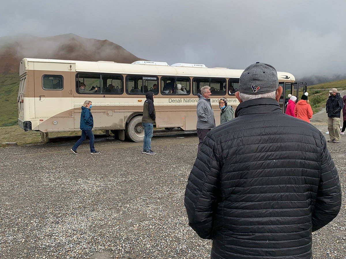 Doyon/Aramark Joint Venture Bus Tours (Parque Nacional y Reserva Denali) -  Qué SABER antes de ir (ACTUALIZADO 2024) - Tripadvisor