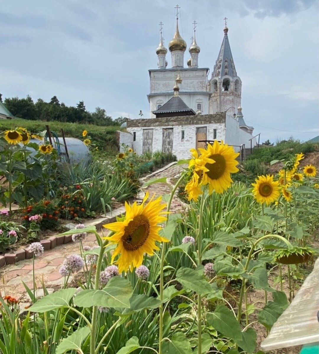 Троице-Никольский Собор, Гороховец: лучшие советы перед посещением -  Tripadvisor