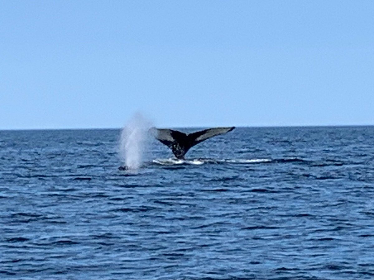 sea watch tours new brunswick