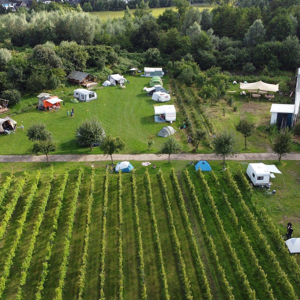 bloed onregelmatig Gedeeltelijk Buitenpost (Twello) - 2023 Alles wat u moet weten VOORDAT je gaat - Tripadvisor bloed onregelmatig Gedeeltelijk Buitenpost (Twello) - 2023 Alles wat u moet weten VOORDAT je gaat - Tripadvisor